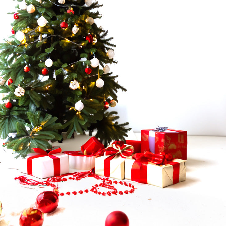 Tutti i prodotti di Natale