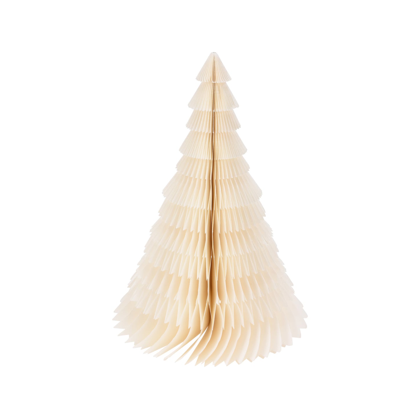 Albero in Carta