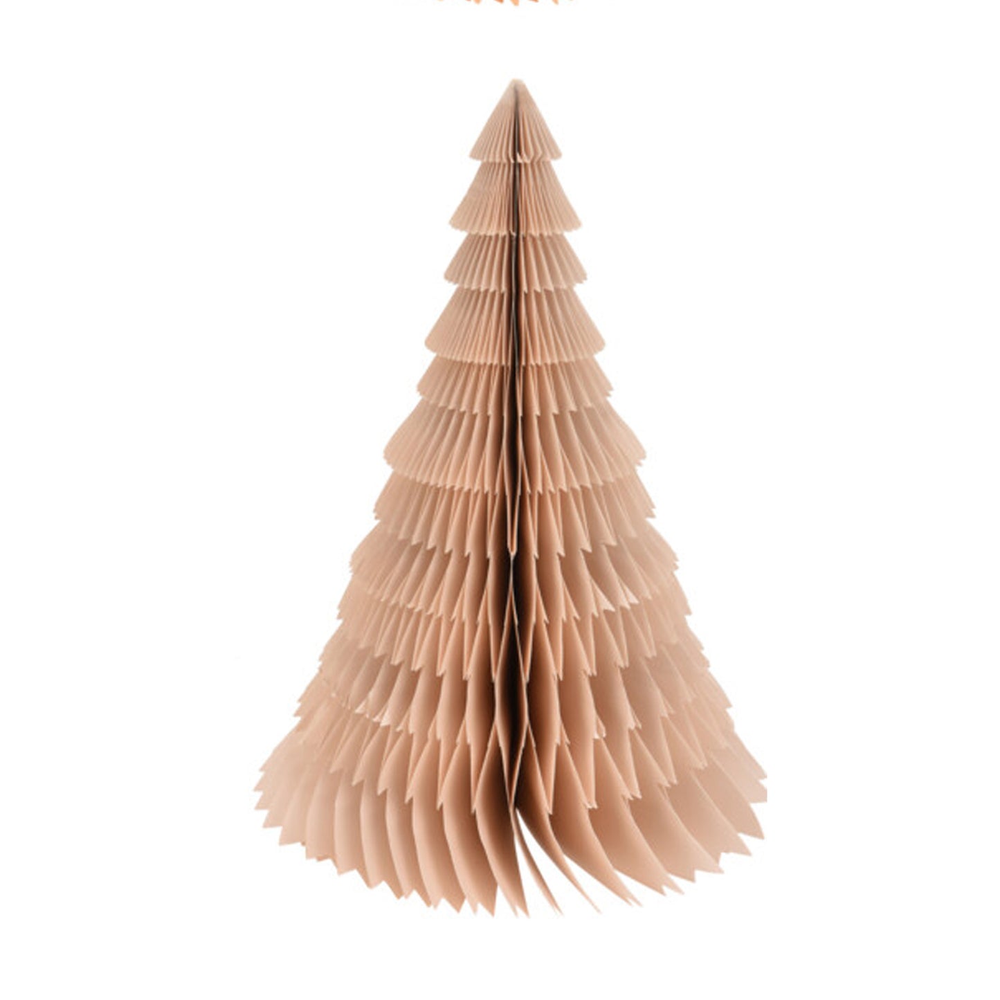 Albero in Carta