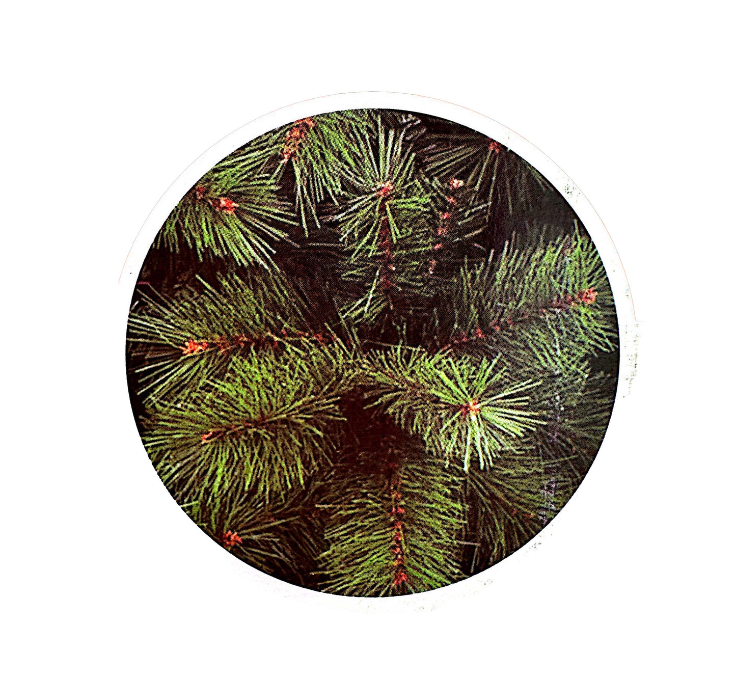 Albero Natale ALFA
