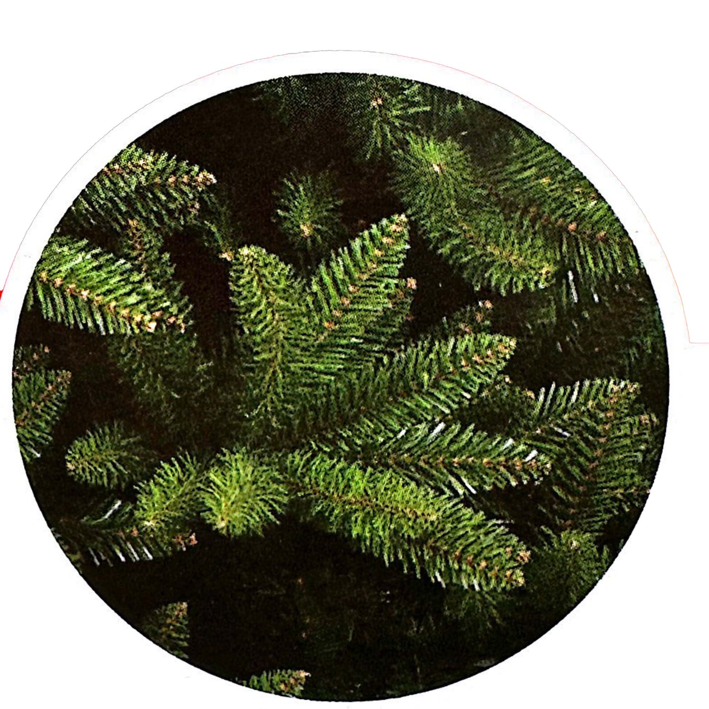Albero Natale VERMONT