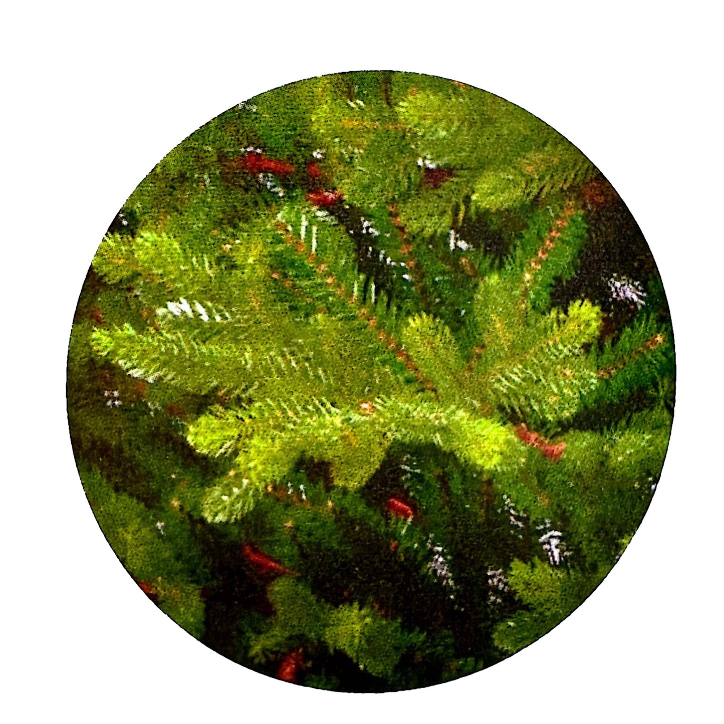 Abero Natale NATIONALPO