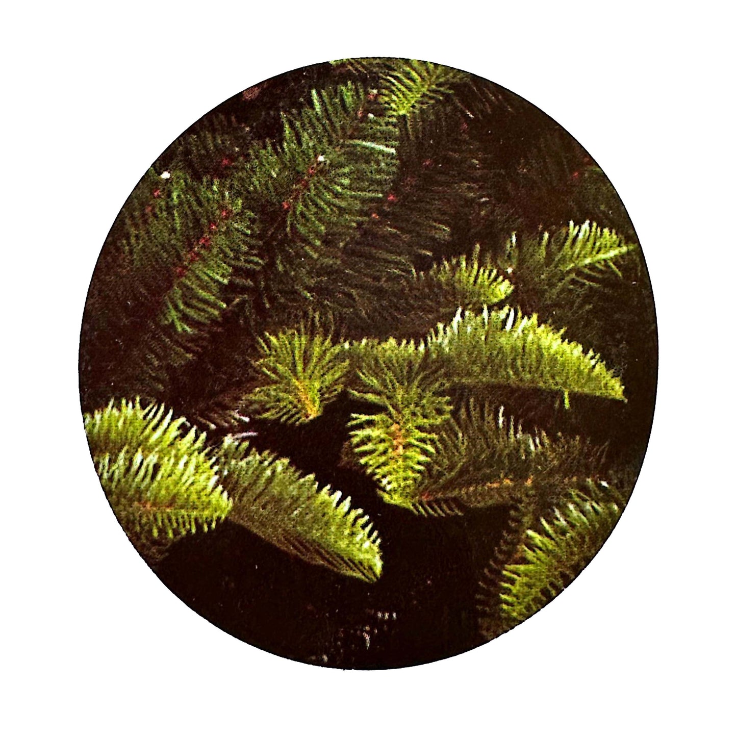 Albero Natale DINO