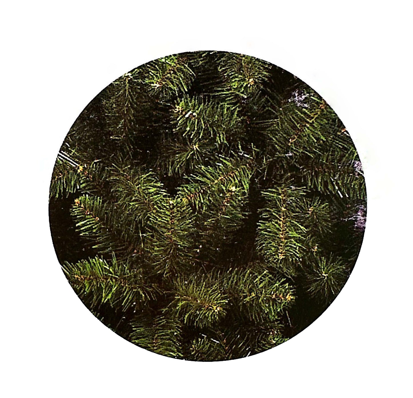 Albero Natale KENIA