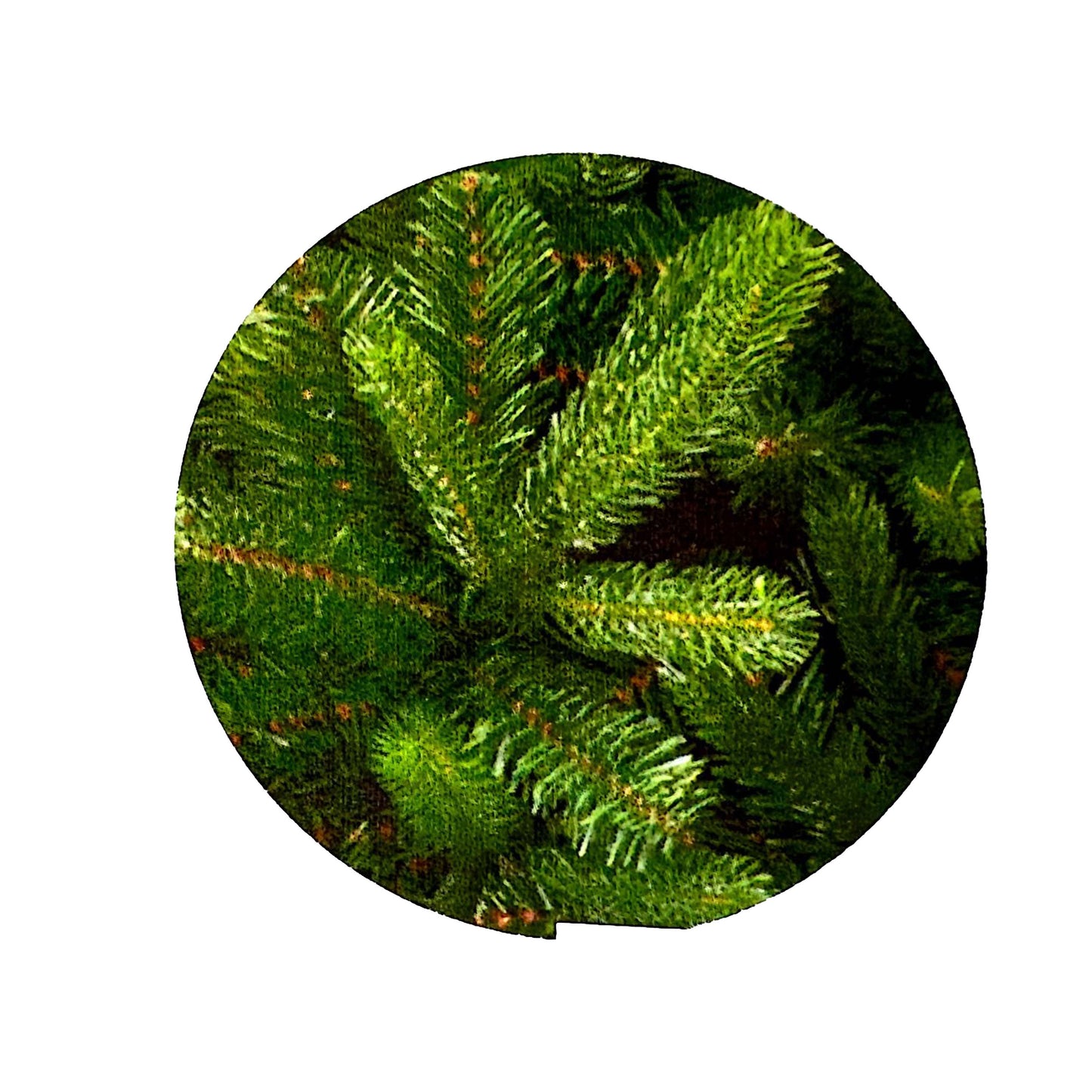 Albero Natale MATERA