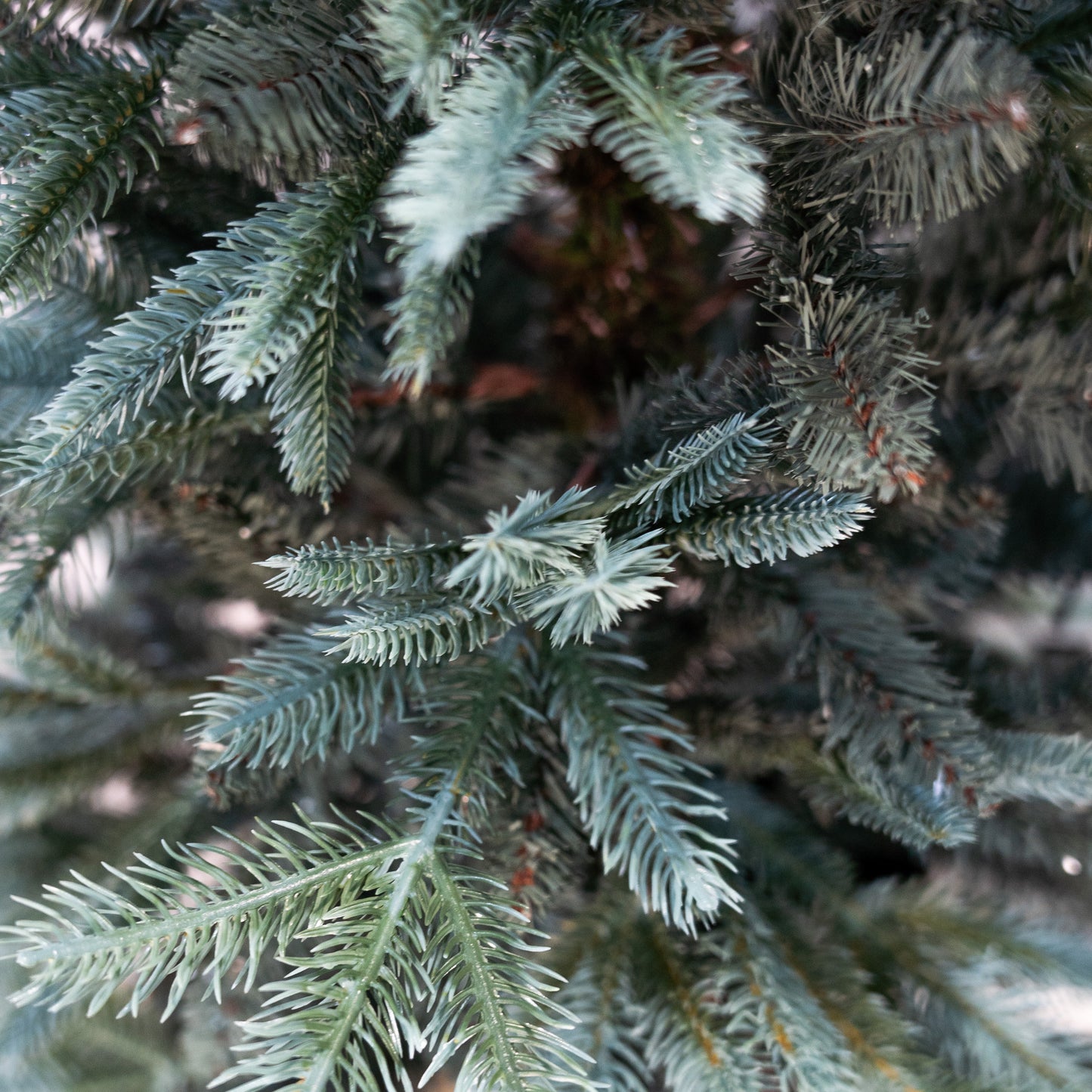 Albero Natale PINETTO ARG