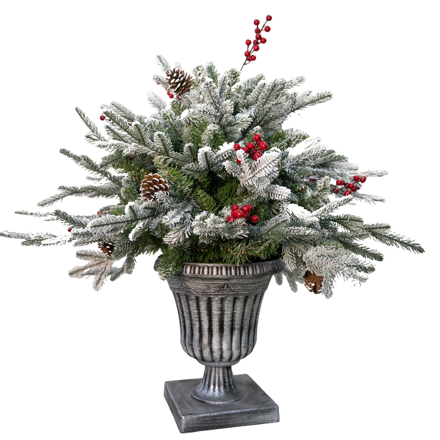 Albero Natale in vaso PINETTO