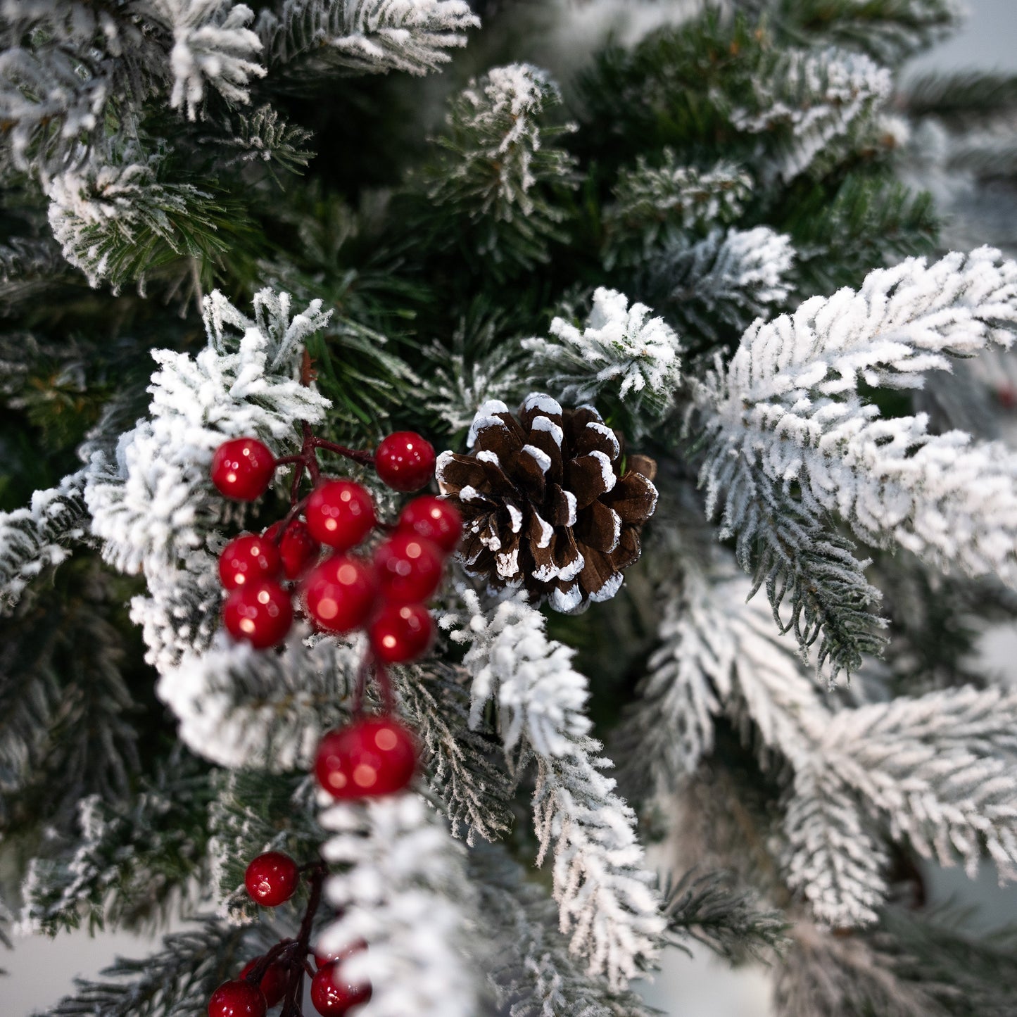 Albero Natale in vaso PINETTO