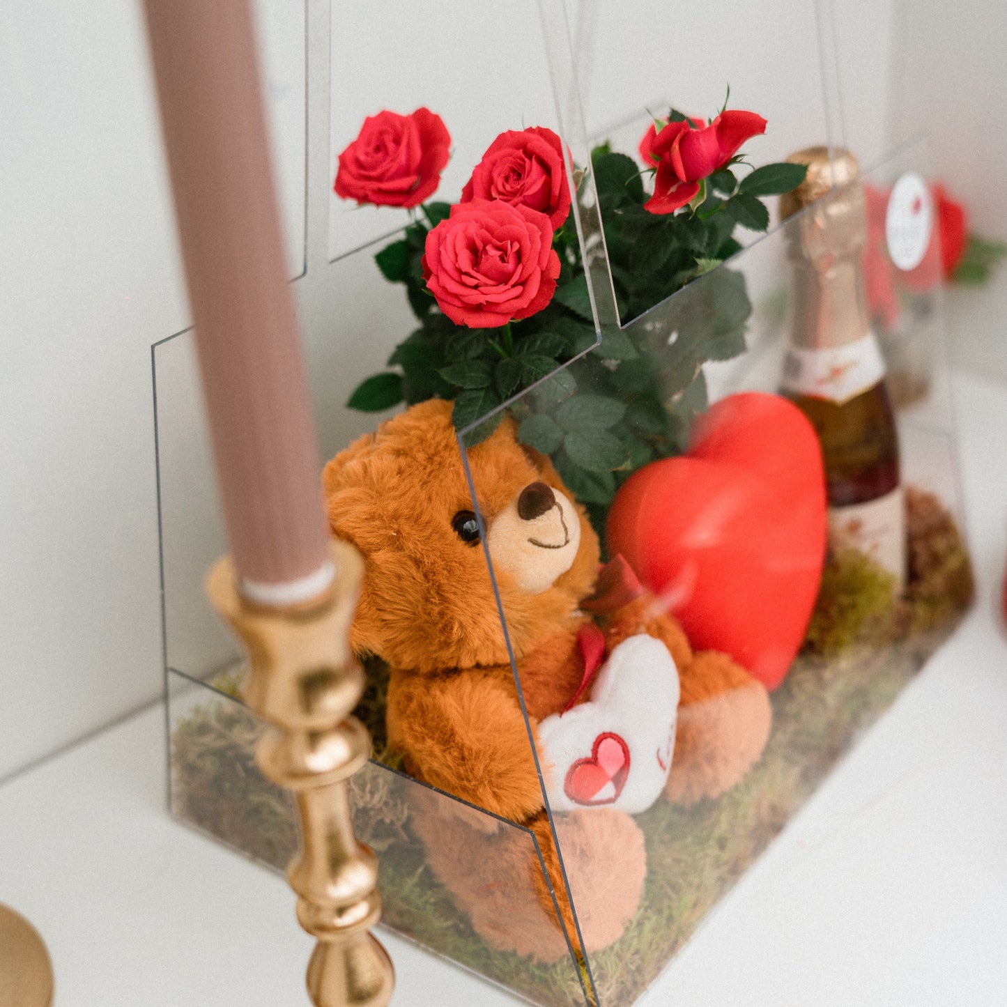 Teddy Lovers