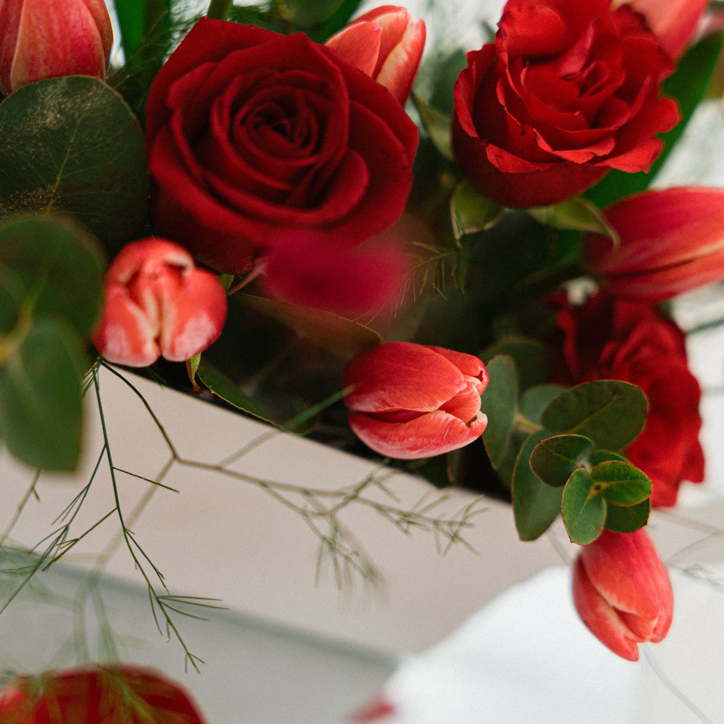 Composizione San Valentino