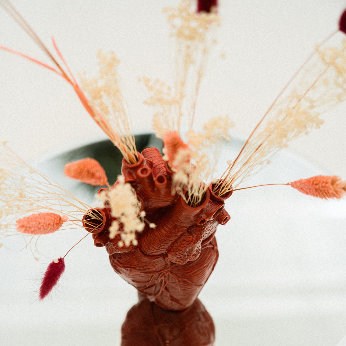fiori per san valentino