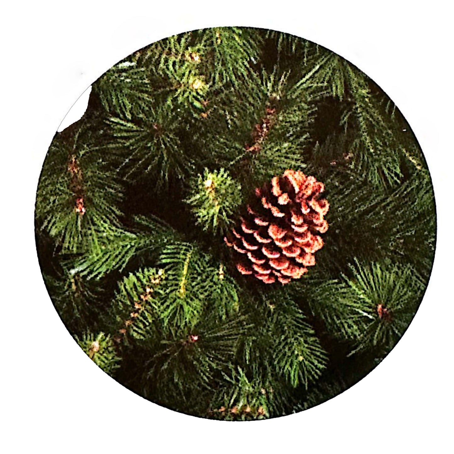 Albero Natale STAR