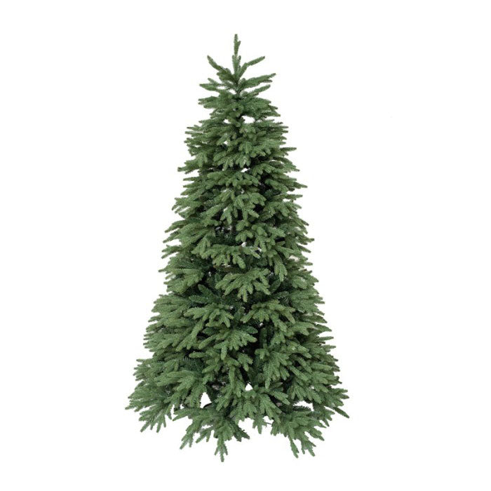 Abero Natale WOODS WASHINGTON