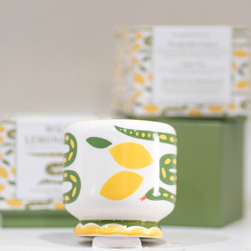Paddywax - Wild Lemongrass