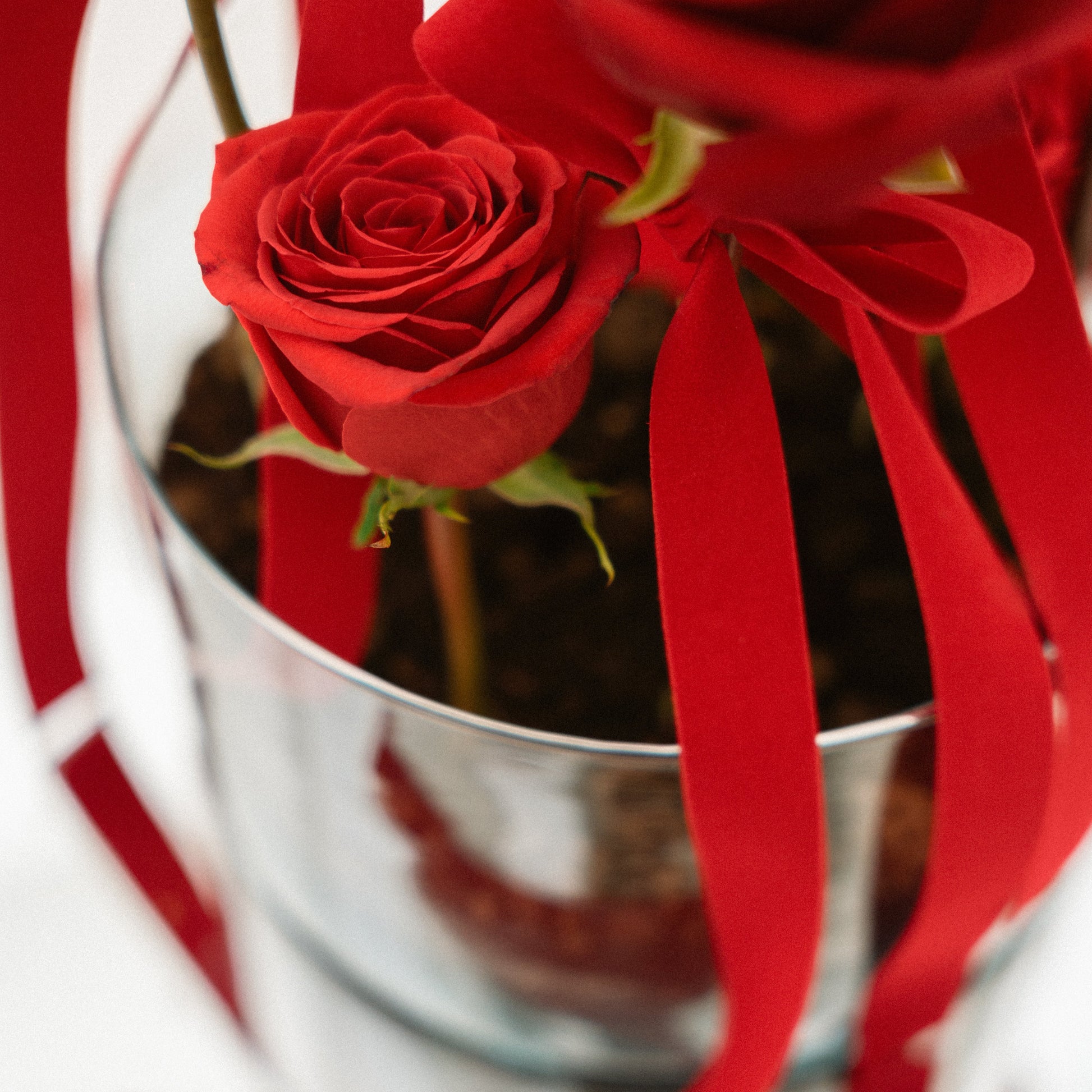 Composizione San Valentino Rose